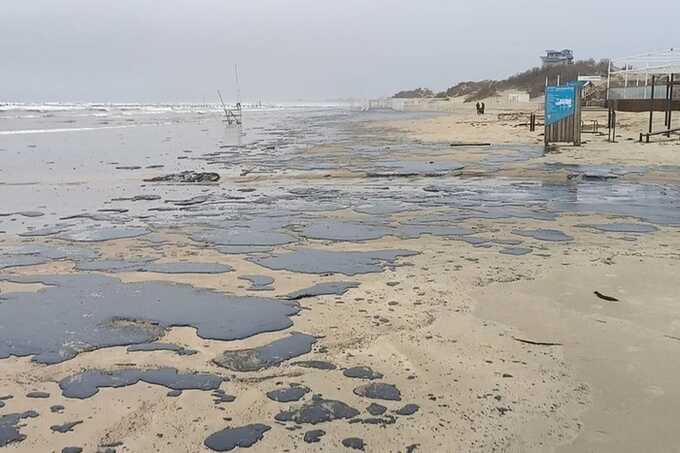 В Анапе отменили открытие курортного сезона из-за разлива мазута