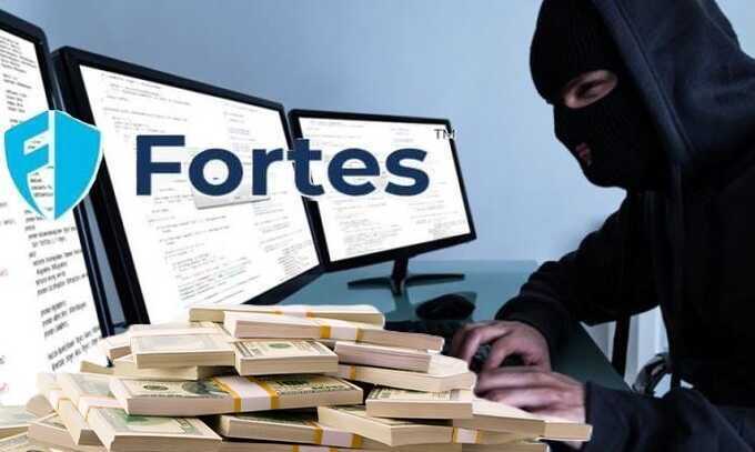 Fortes.pro’s financial ties to “shadow” schemes and international sanctions for laundering dirty money