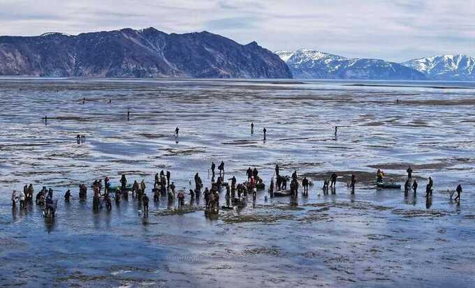 В Магадане рыбаки вытащили из моря «инопланетянина» и поразили Сеть